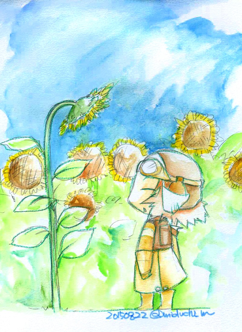 わんどろハチさん